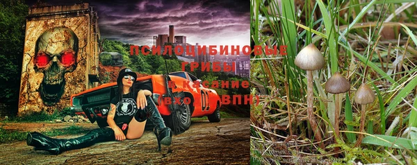мескалин Алзамай