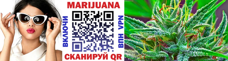 Канабис план  Берёзовка 